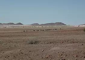 turistipercaso namibia-t7e5z