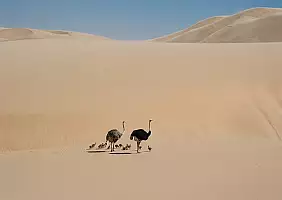 turistipercaso namibia-u2qct