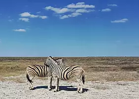 turistipercaso namibia-u5n1f
