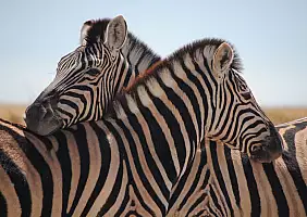 turistipercaso namibia-uaj96