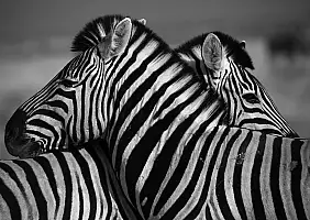 turistipercaso namibia-unrfm