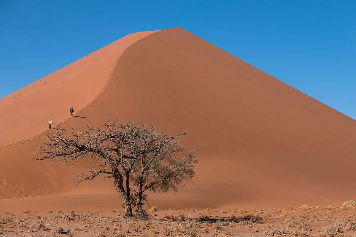 Deserto del Namib