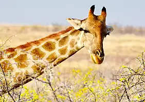 turistipercaso namibia-uqcxq