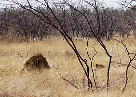 turistipercaso namibia-w18ub