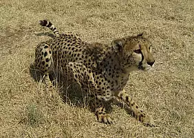 turistipercaso namibia-wtbs3