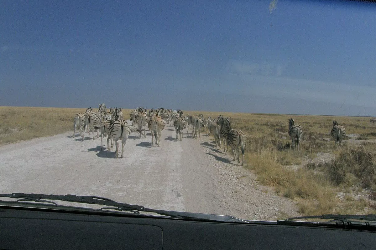 Caleidoscopio Namibiano