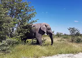 turistipercaso namibia-yhp41