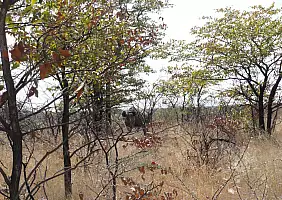 turistipercaso namibia-yjpb4