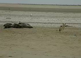 turistipercaso namibia-ymb9w