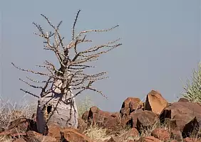turistipercaso namibia-yvagz