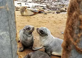 turistipercaso namibia-zdvcr