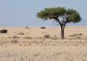 turistipercaso namibia-zhg4g