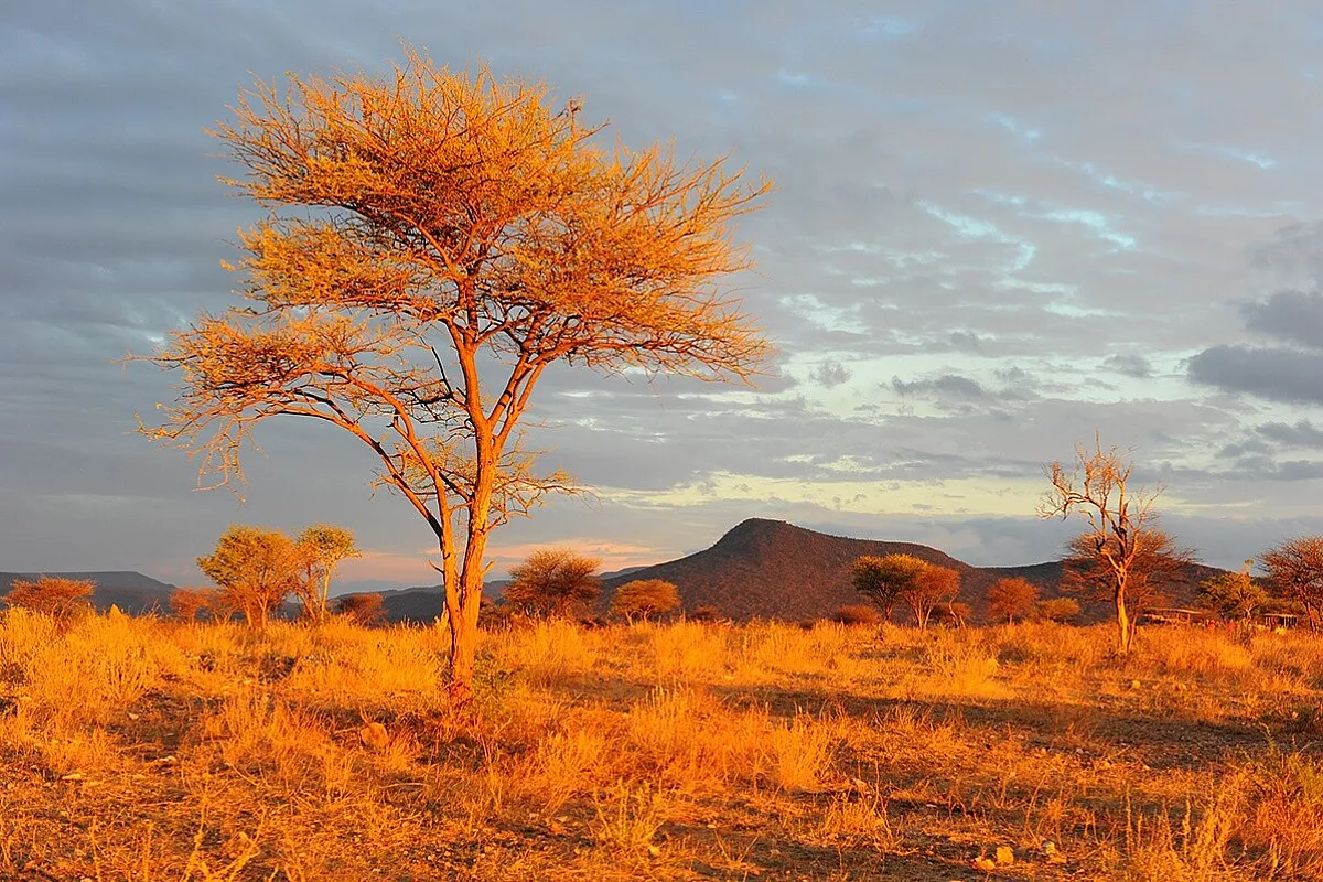 Tramonto a Okonjima