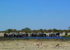 turistipercaso namibia-zstw3
