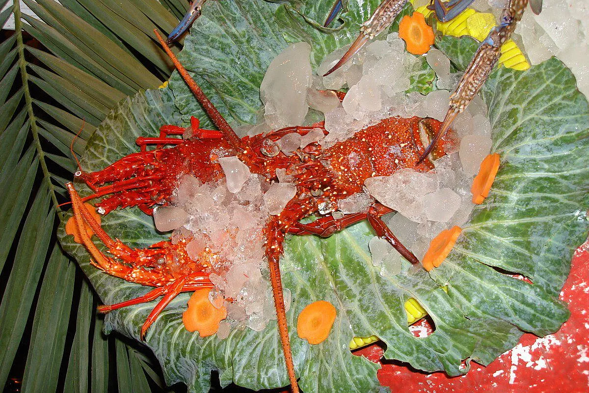 Vi saluta il dugongo: cinderella beach resort