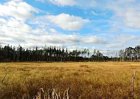 turistipercaso natura-3b6up