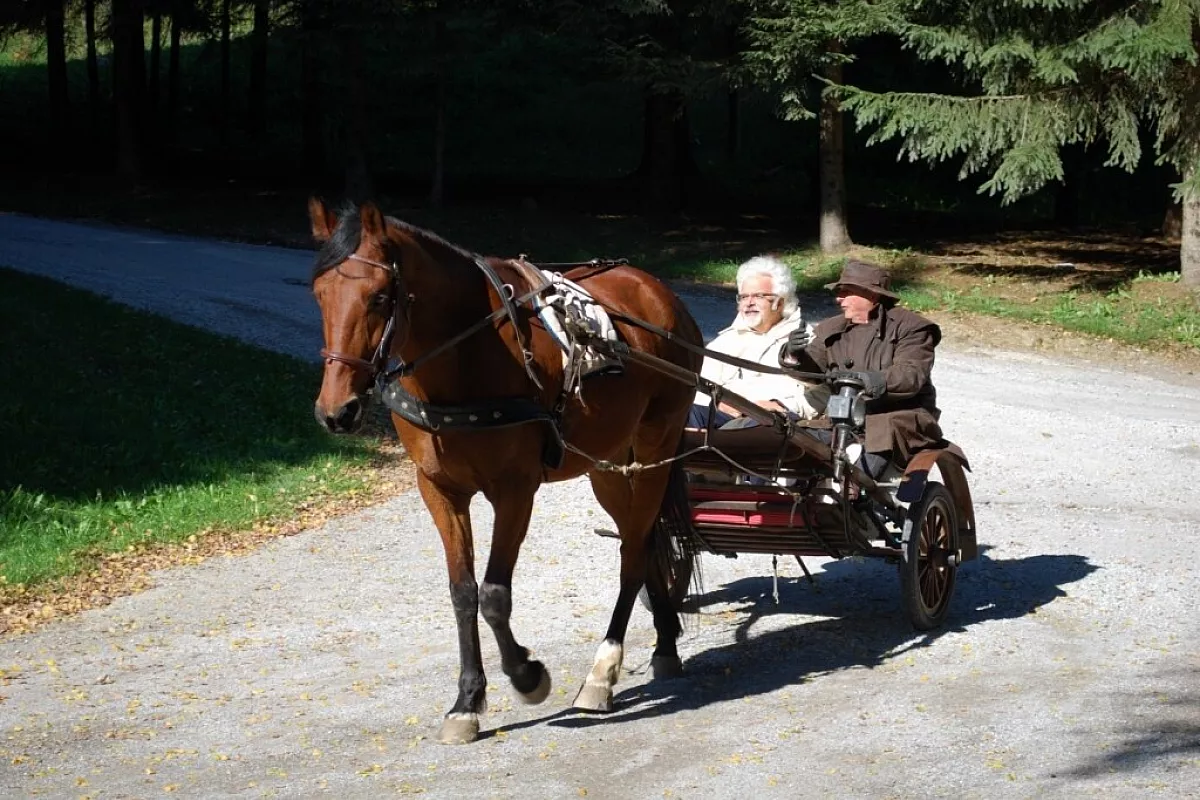 Contadini e Turisti uniti nella lotta!