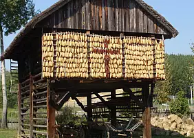 turistipercaso natura-fcptd