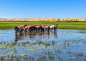 turistipercaso natura-ghteu