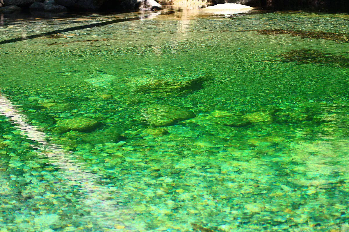 lynn canyon park