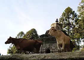 turistipercaso nepal-m7r2g