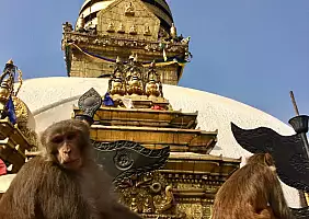 turistipercaso nepal-sehg6