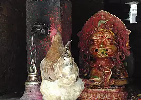 turistipercaso nepal-wdp67