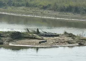 turistipercaso nepal-z3vqx
