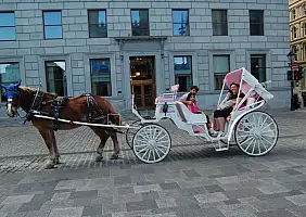 turistipercaso new-england-vrjmx