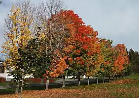 turistipercaso new-hampshire-4wntv