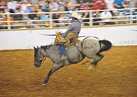 turistipercaso new-mexico-region-29vn4