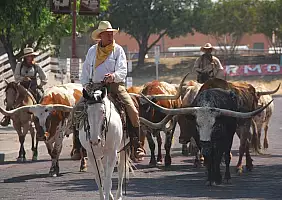 turistipercaso new-mexico-region-64ftc