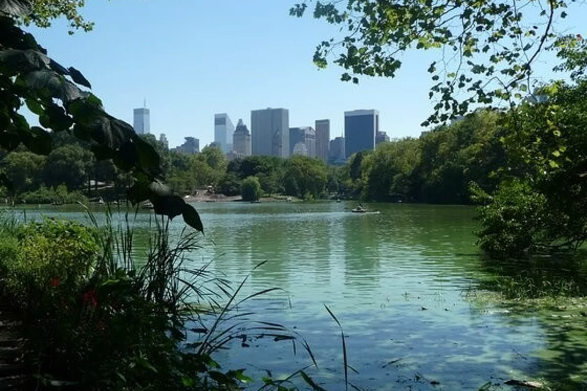 Un sogno chiamato New York!