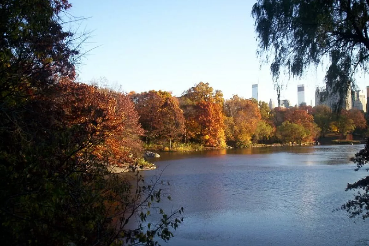 The Big Apple