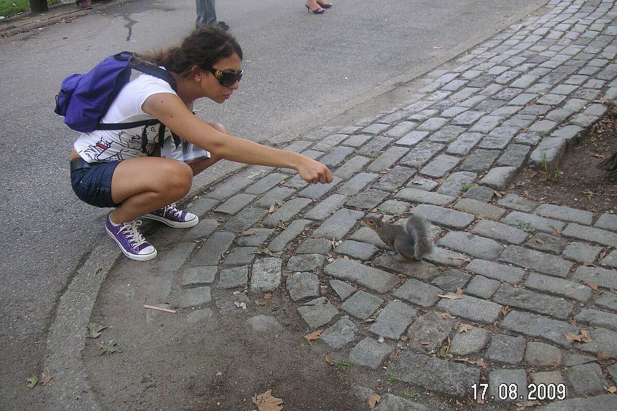 Life in new york
