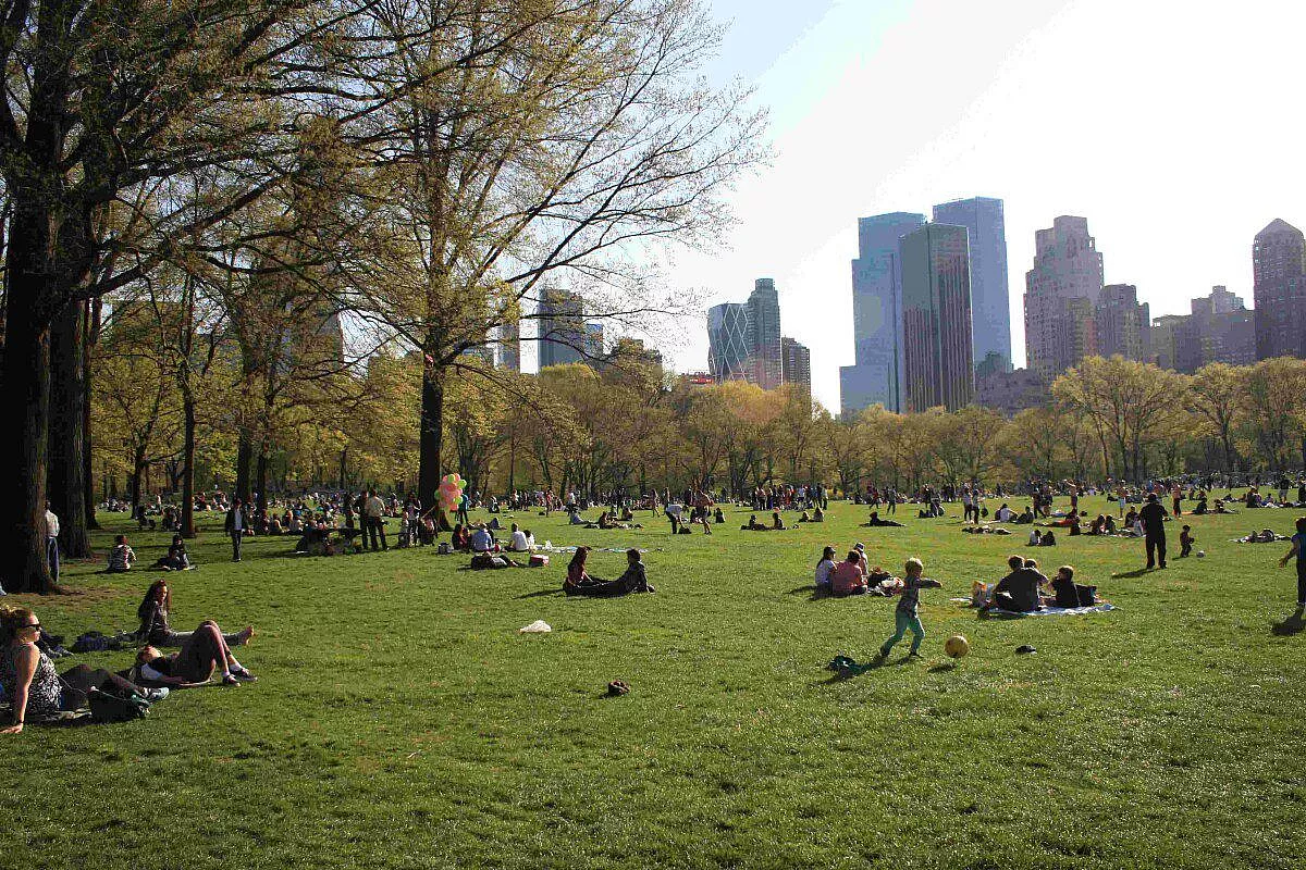 relax a central park