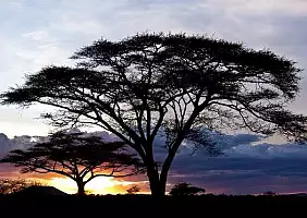 turistipercaso ngorongoro-dc7tk