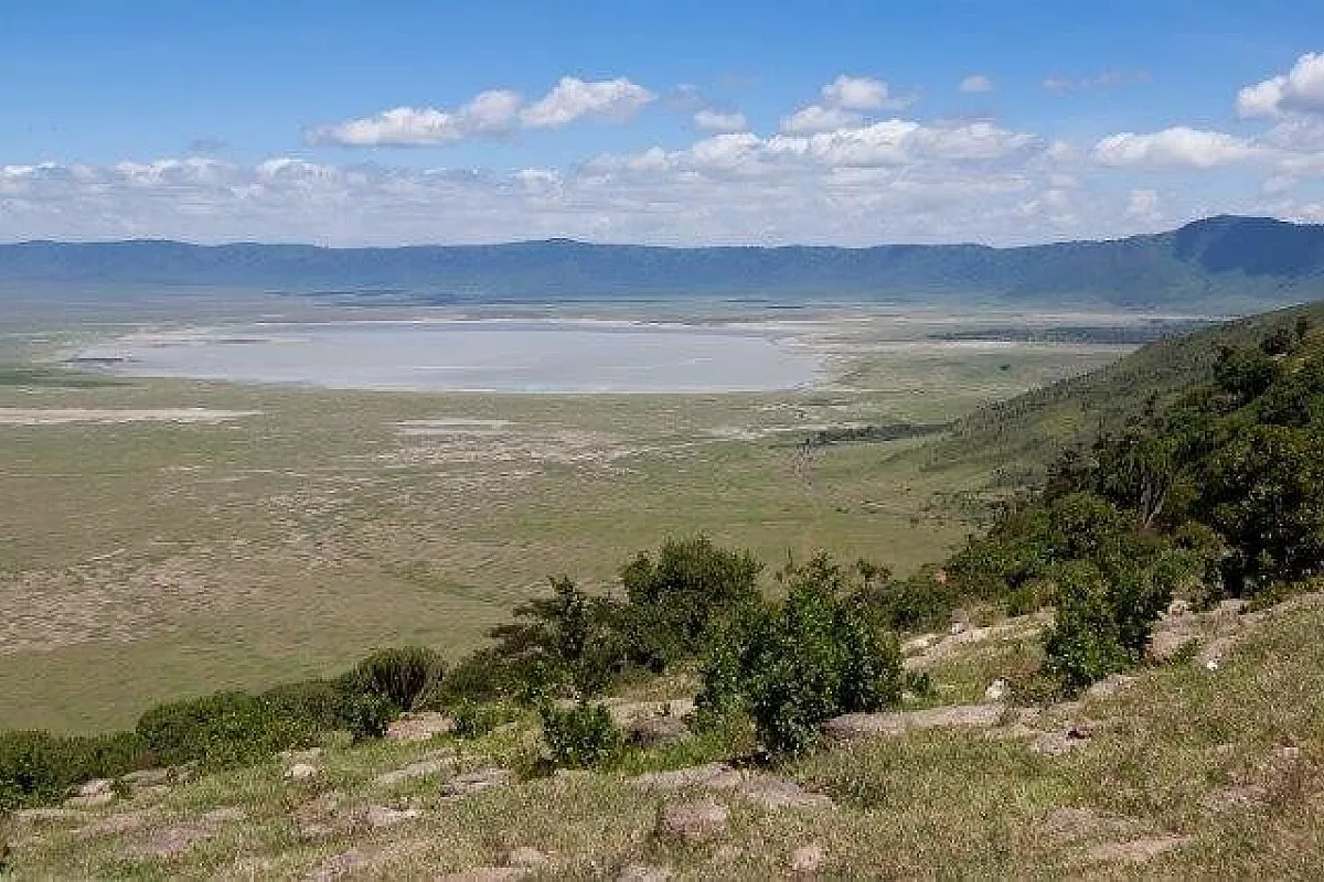 Tanzania - safari nei parchi del nord