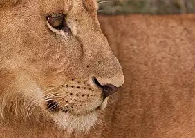 turistipercaso ngorongoro-pwmnt