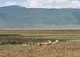 turistipercaso ngorongoro-s7j65