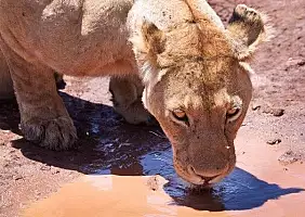 turistipercaso ngorongoro-w8kvf