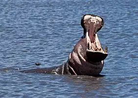 turistipercaso ngorongoro-xve64