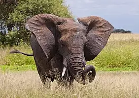 turistipercaso ngorongoro-ysjnw