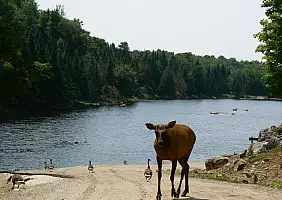 turistipercaso niagara-2jyv7