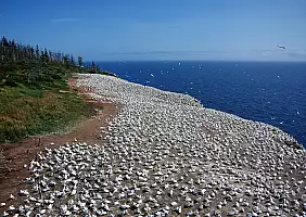 turistipercaso niagara-e65yy