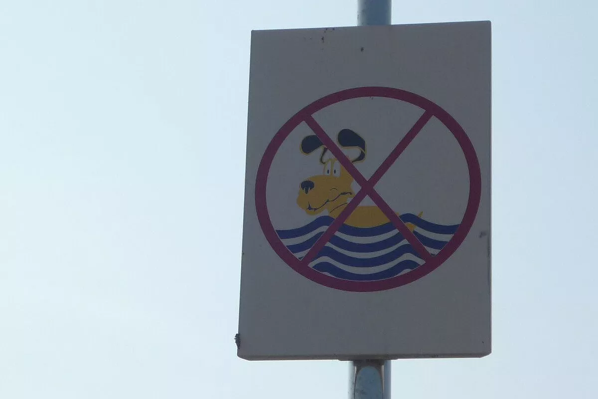 Cres, tra macchia e calamari alla griglia