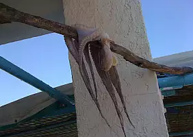 turistipercaso nisyros-ywczr