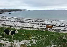 turistipercaso northern-ireland-spzue