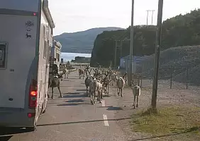 turistipercaso norvegia-158z2