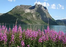 turistipercaso norvegia-2zxg7